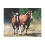 Breton draft horses postcard
