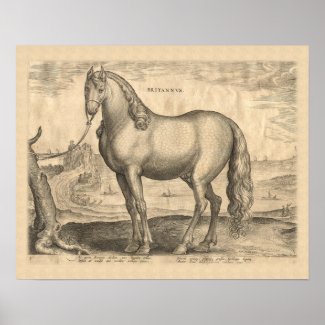 Breton Horse / Horse from Brittany Antique Print