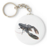 Breton lobster key chains