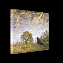 Brewers Backbird Montage canvas wrap canvas prints