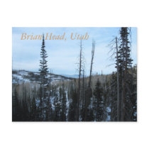 Brian Head, Utah Postcard