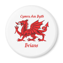 Brians Welsh Dragon magnets by NameGame Brians Welsh Dragon magnets