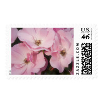 Briar Rose • Stamp by SabineStGreetings Briar Rose • Stamp