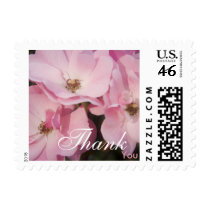 Briar Rose • Thank You Stamp by SabineStGreetings Briar Rose • Thank You Stamp