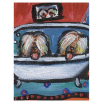 Briard bathtime flyers