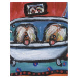 Briard bathtime flyers