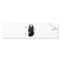 Briard (black) History Design Bumper Stickers