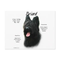 Briard (black) History Design Postcard