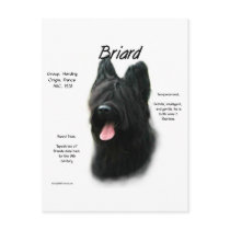 Briard (black) History Design Postcards