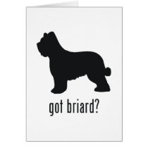 Briard Greeting Card