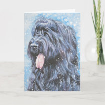 briard_christmas_card-p137155947286695250tdtu_210.jpg