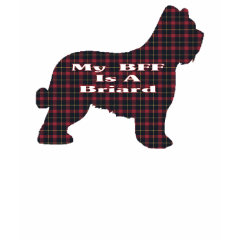 Briard Lovers Gifts shirt