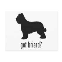 Briard Post Cards
