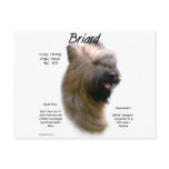 Briard (tawny) History Design Post Cards