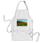 Brick Barracks aprons