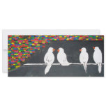 brick bird wall : graffiti wall custom announcement