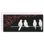 brick bird wall : graffiti wall personalized announcements