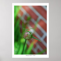 brick & bloom print