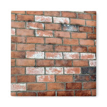 bricks magnets