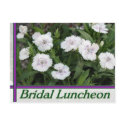 bridal luncheon postcards by DonnaGrayson_Photos bridal luncheon postcards
