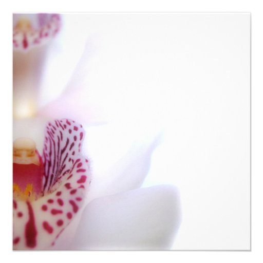 Bridal Shower Invitation