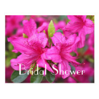 Bridal shower, pink azalea flowers post card