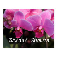 Bridal shower, pink orchid flowers post cards
