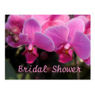 Bridal shower, pink orchid flowers postcards