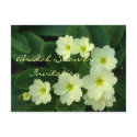 Bridal Shower postcards by Emazevedo Bridal Shower postcards