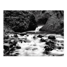 Bridal Veil Falls Oregon Postcard