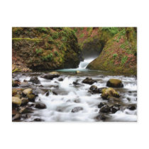 Bridal Veil Falls Oregon Waterfall Postcard