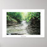 Bridal Veil Falls Posters