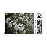 Bridal Wreath Stamp
