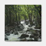 Bridalveil Creek Magnet