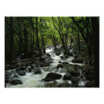Bridalveil Creek Photo Print