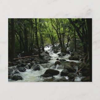 Bridalveil Creek Postcard postcard