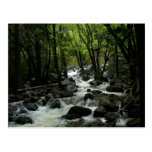 Bridalveil Creek Postcard