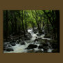 Bridalveil Creek Print