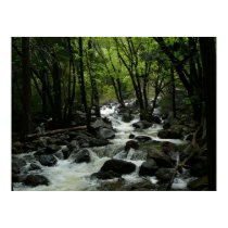 Bridalveil Creek Print
