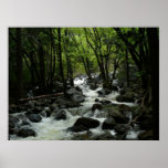 Bridalveil Creek Print