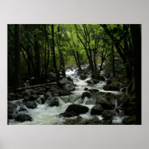 Bridalveil Creek Print