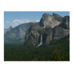 Bridalveil Falls and Half Dome Yosemite Postcard