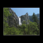 Bridalveil Falls II Postcard
