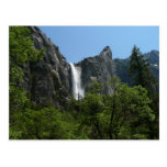 Bridalveil Falls II Postcard