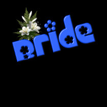 Bride And Flower Bouquet T Shirt