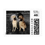 Bride and Groom Dogs postage
