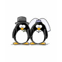 Bride and Groom Penguins t-shirts