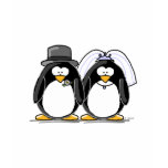 Bride and Groom Penguins