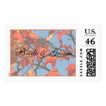 Bride And Groom Wedding Invitation Postage Stamps by TDSwhite Bride And Groom Wedding Invitation Postage Stamps