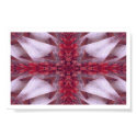 Bride Flower posters